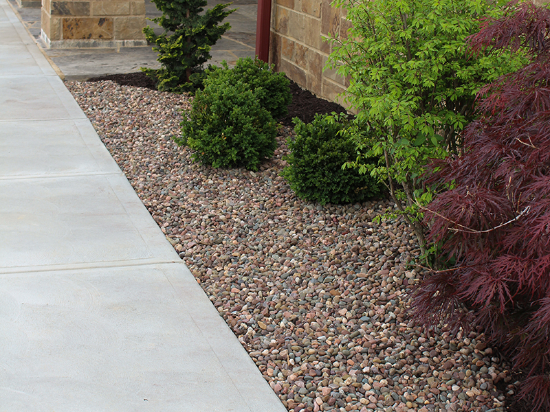 Duck Lake Pebbles – Frank Otte Nursery and Garden Center